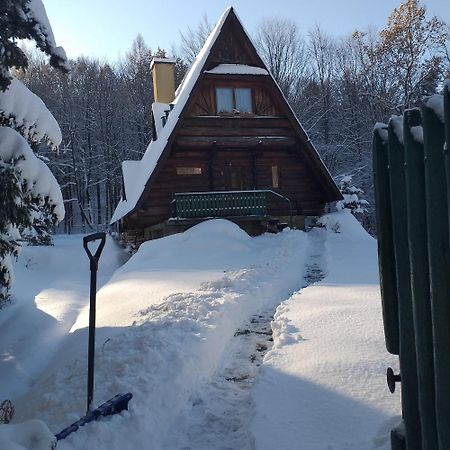 Villa Kosarzówka Bielsko-Biała Exterior foto