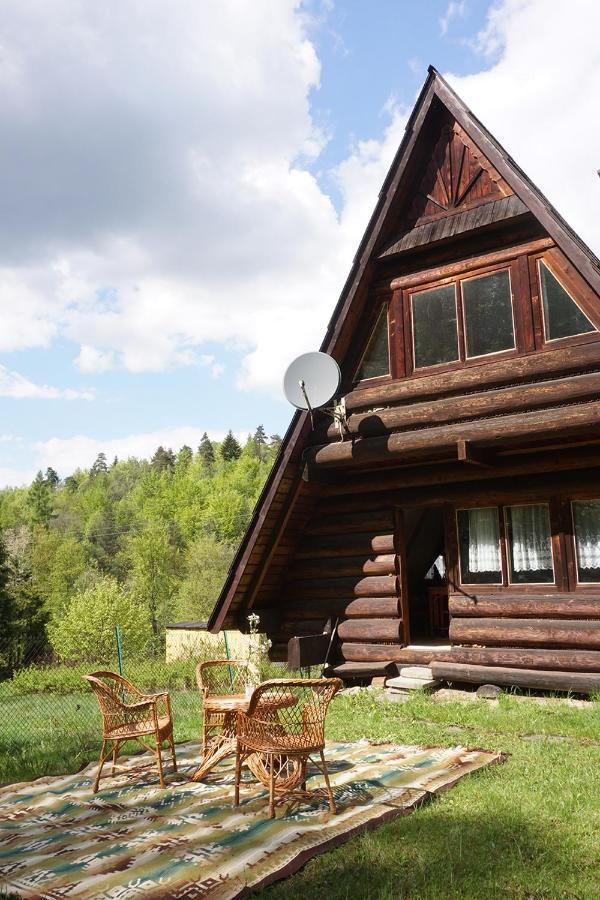 Villa Kosarzówka Bielsko-Biała Exterior foto