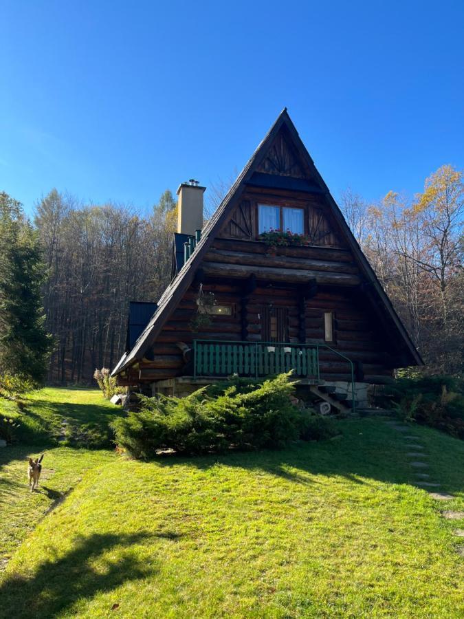 Villa Kosarzówka Bielsko-Biała Exterior foto